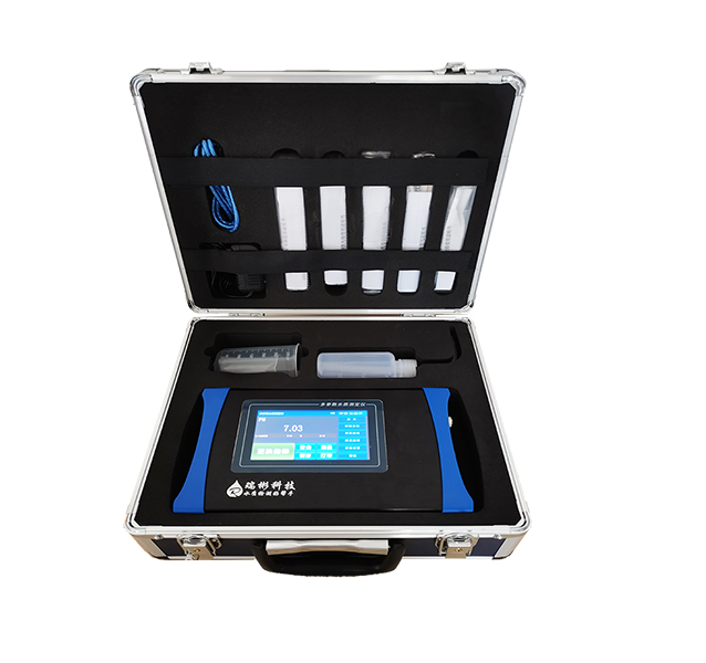 現(xiàn)場測定儀器RB-5DH型